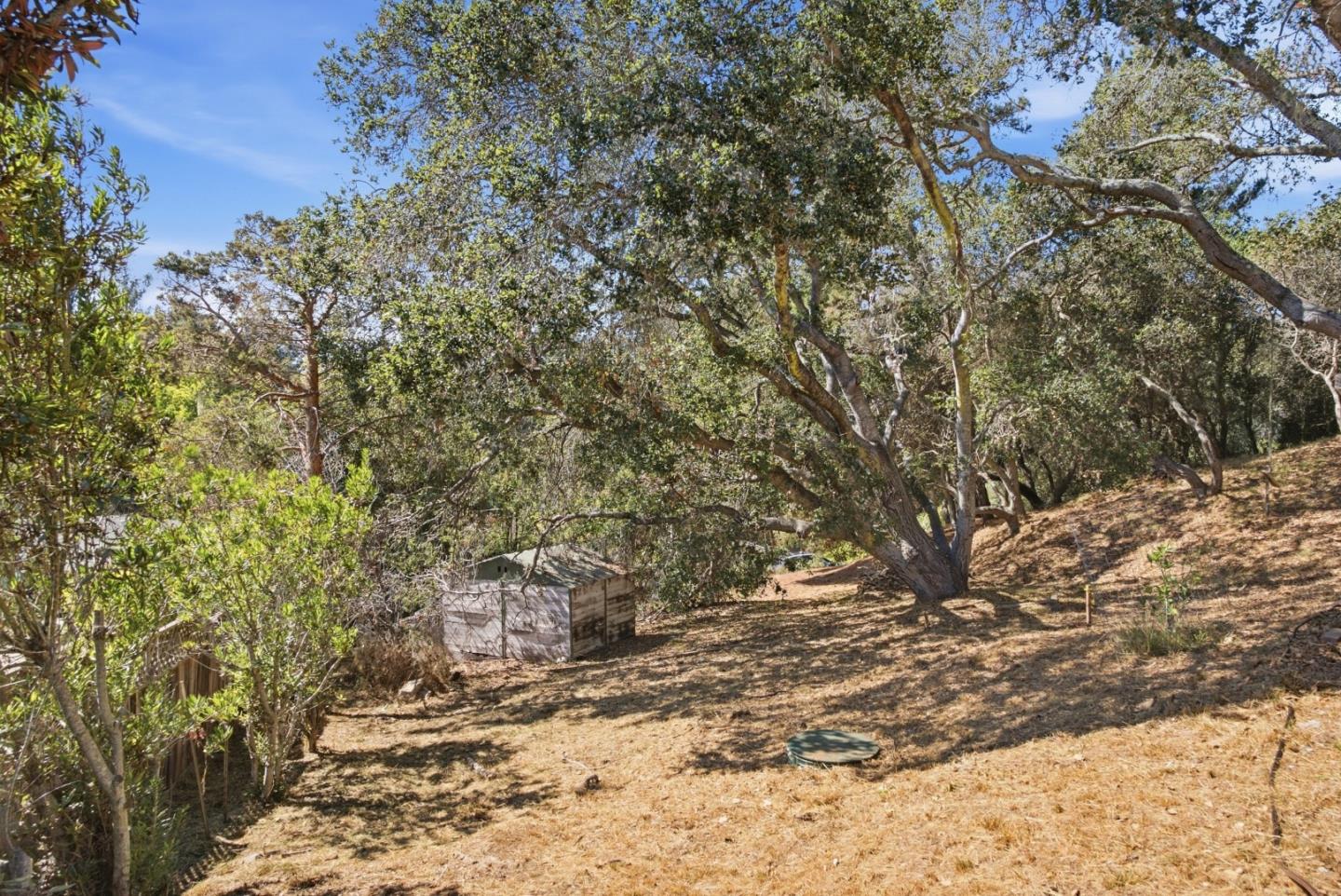 Property photo 35