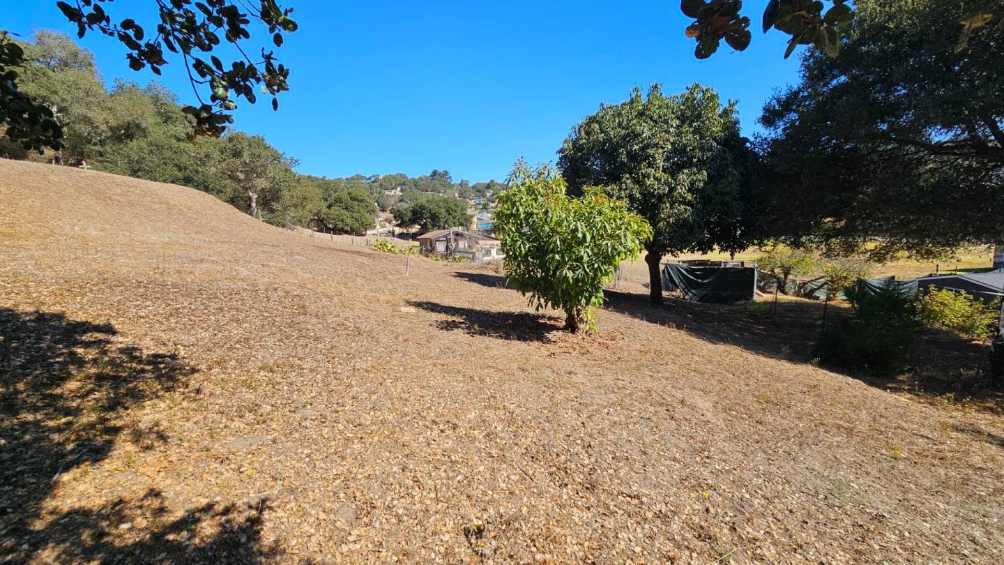Property photo 24