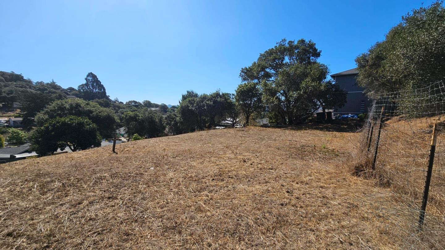Property photo 26