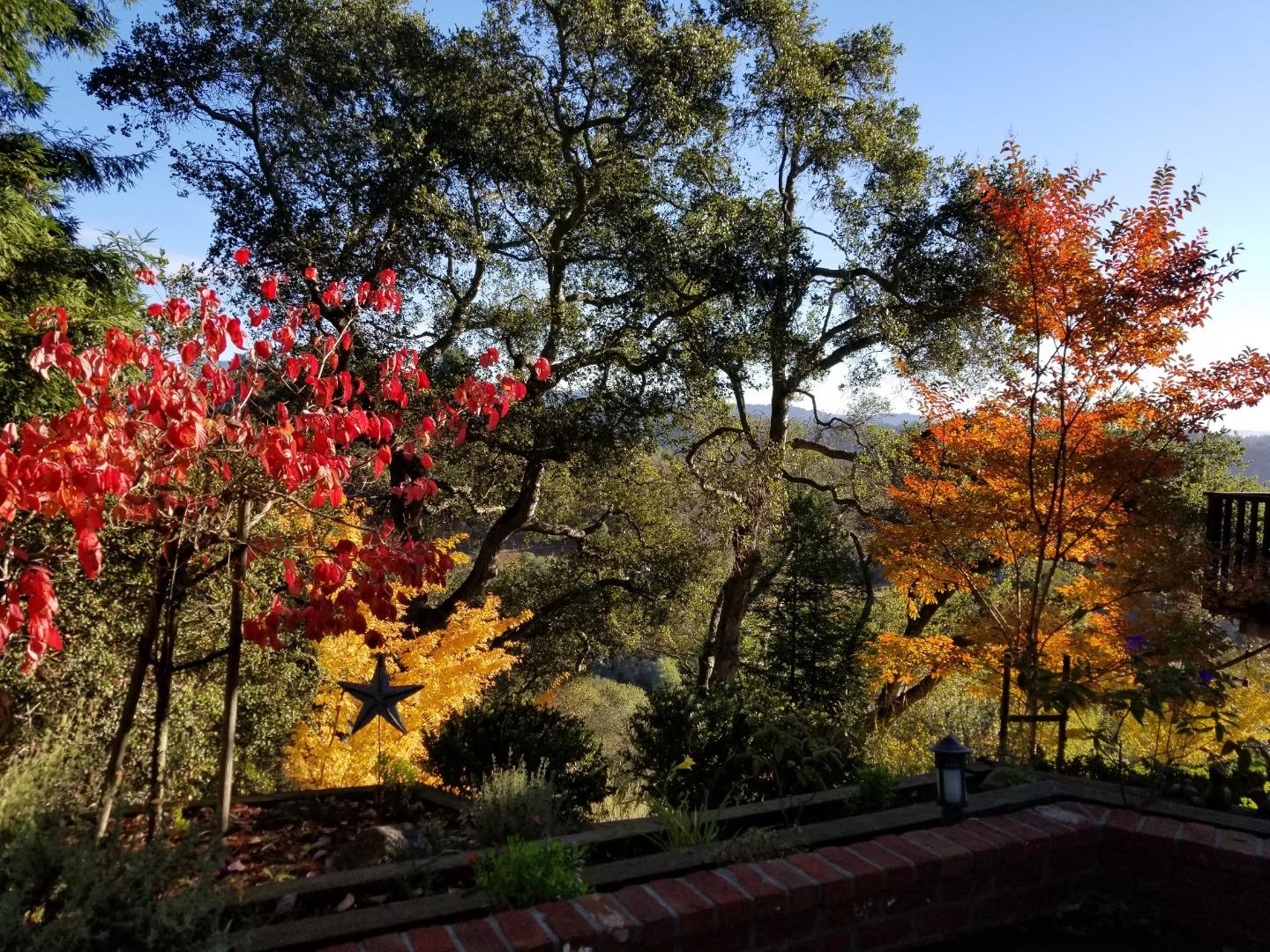 Property photo 38