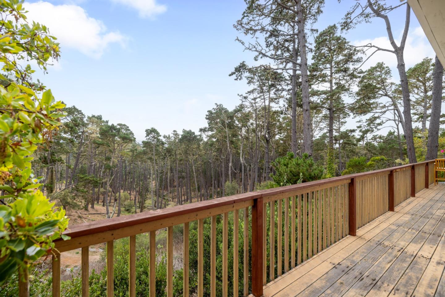Property photo 49