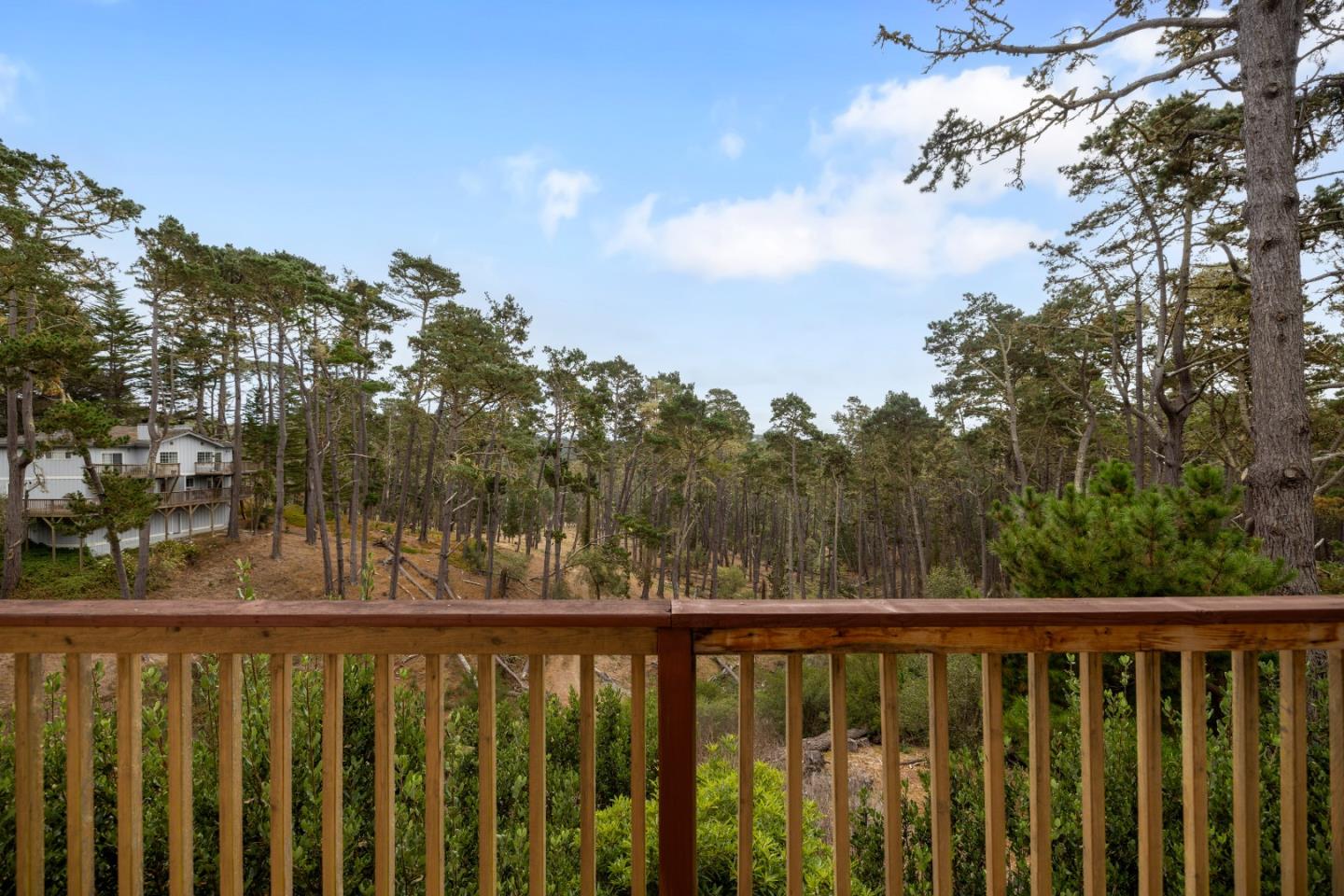 Property photo 51