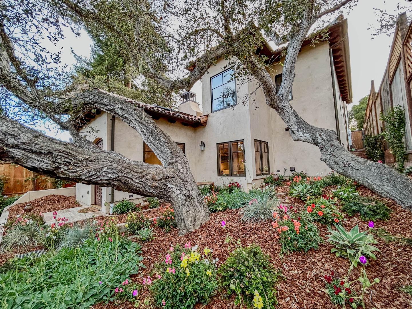Property photo 44