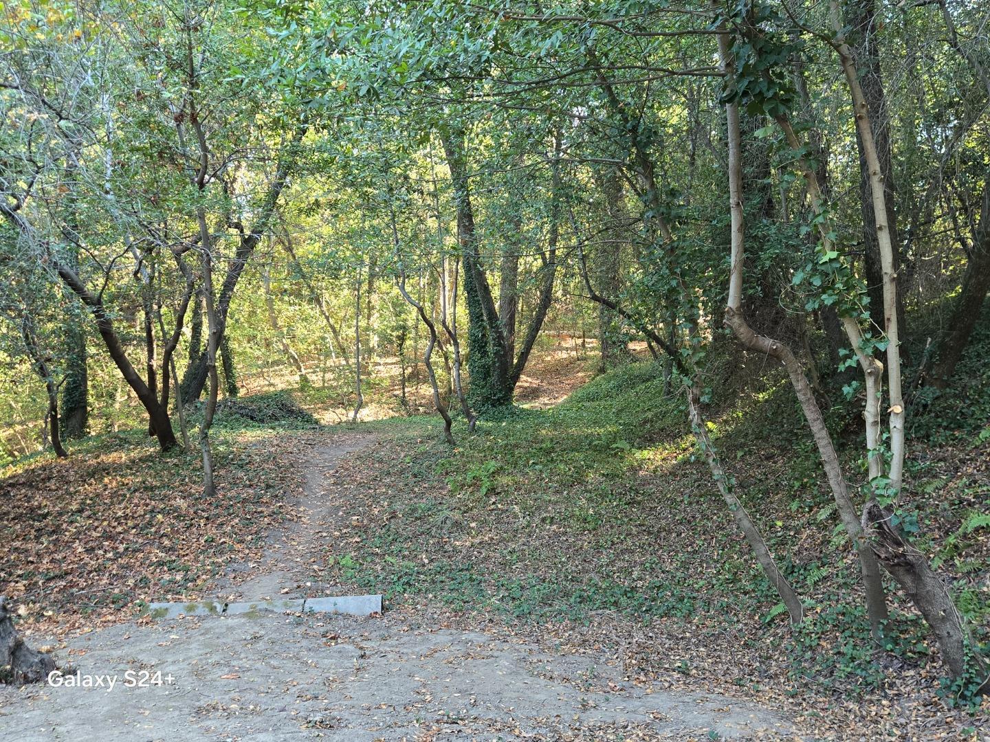 Property photo 39
