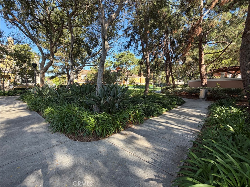 Property photo 51