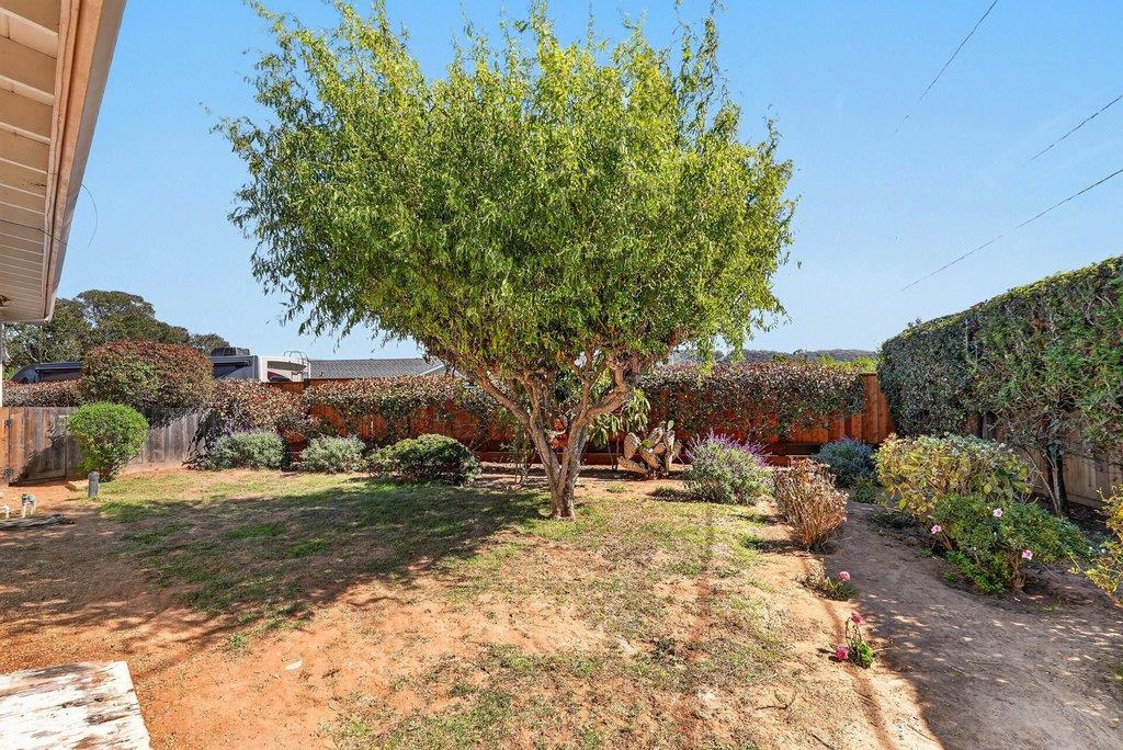 Property photo 46