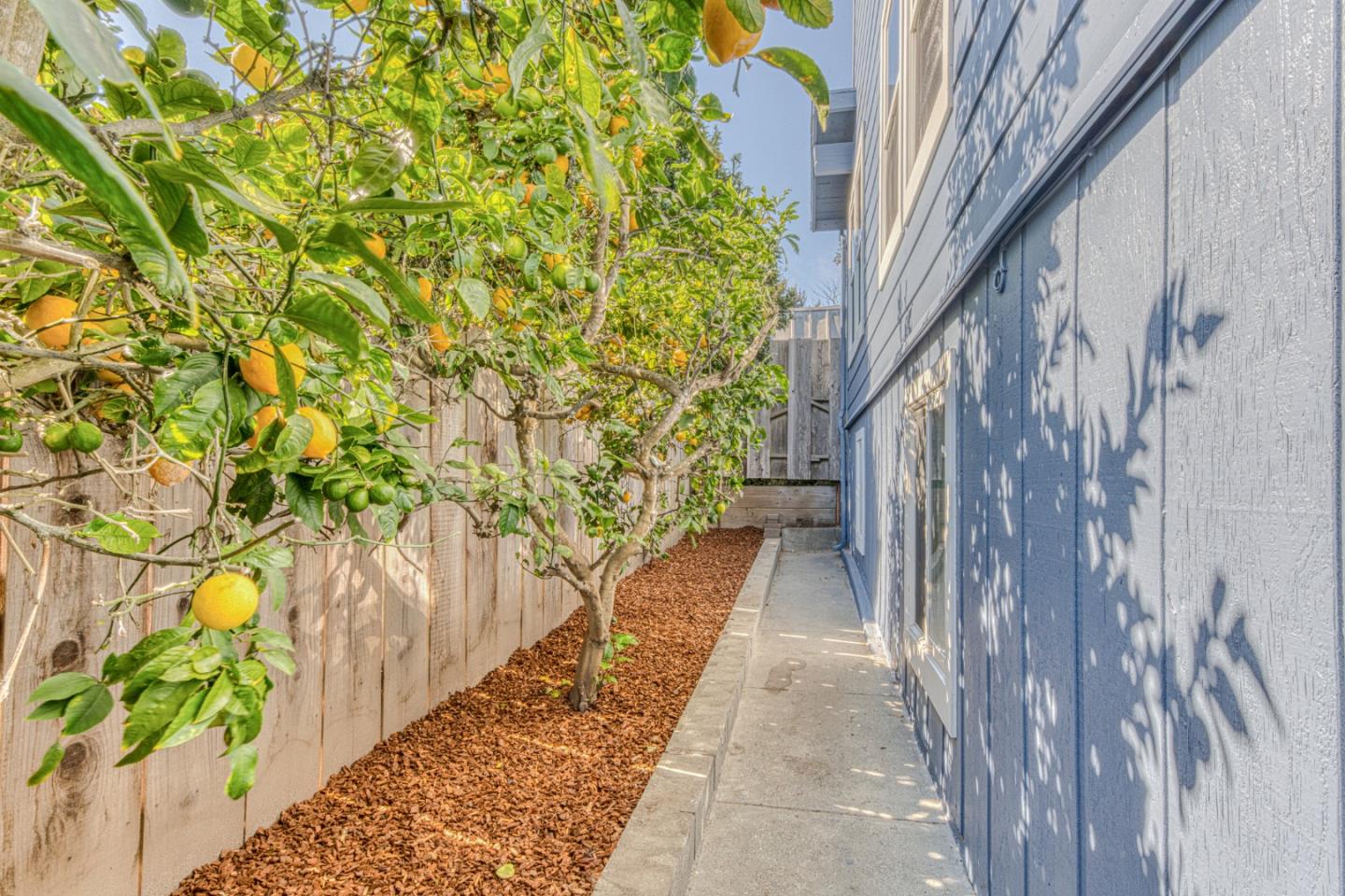 Property photo 45