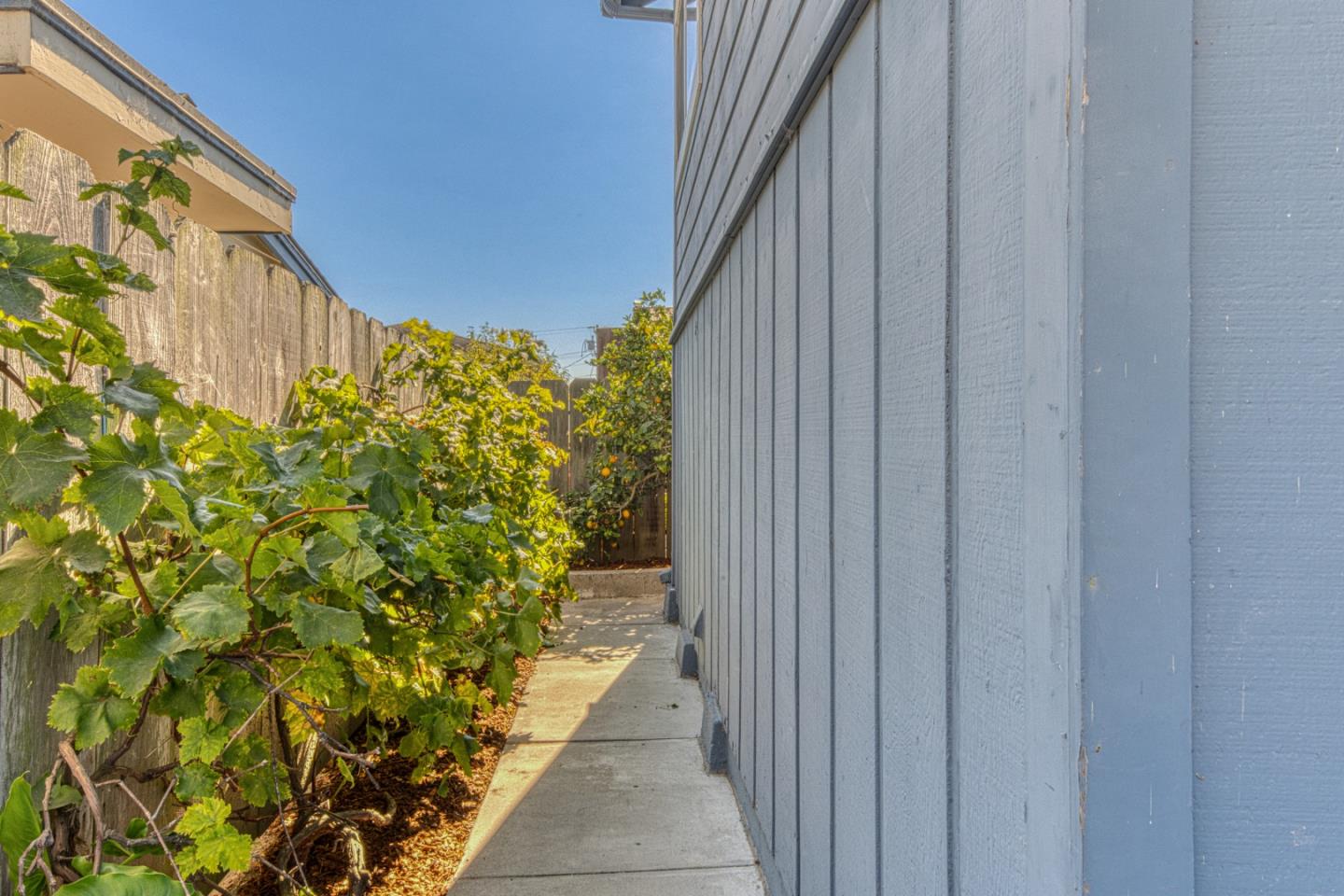 Property photo 46