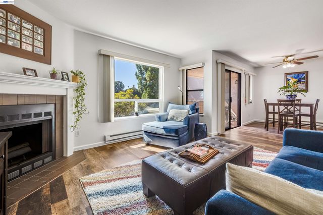 Property photo 44