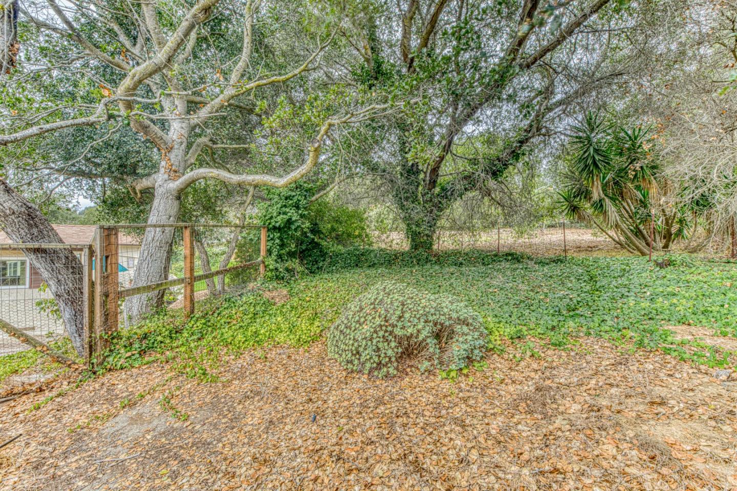 Property photo 48
