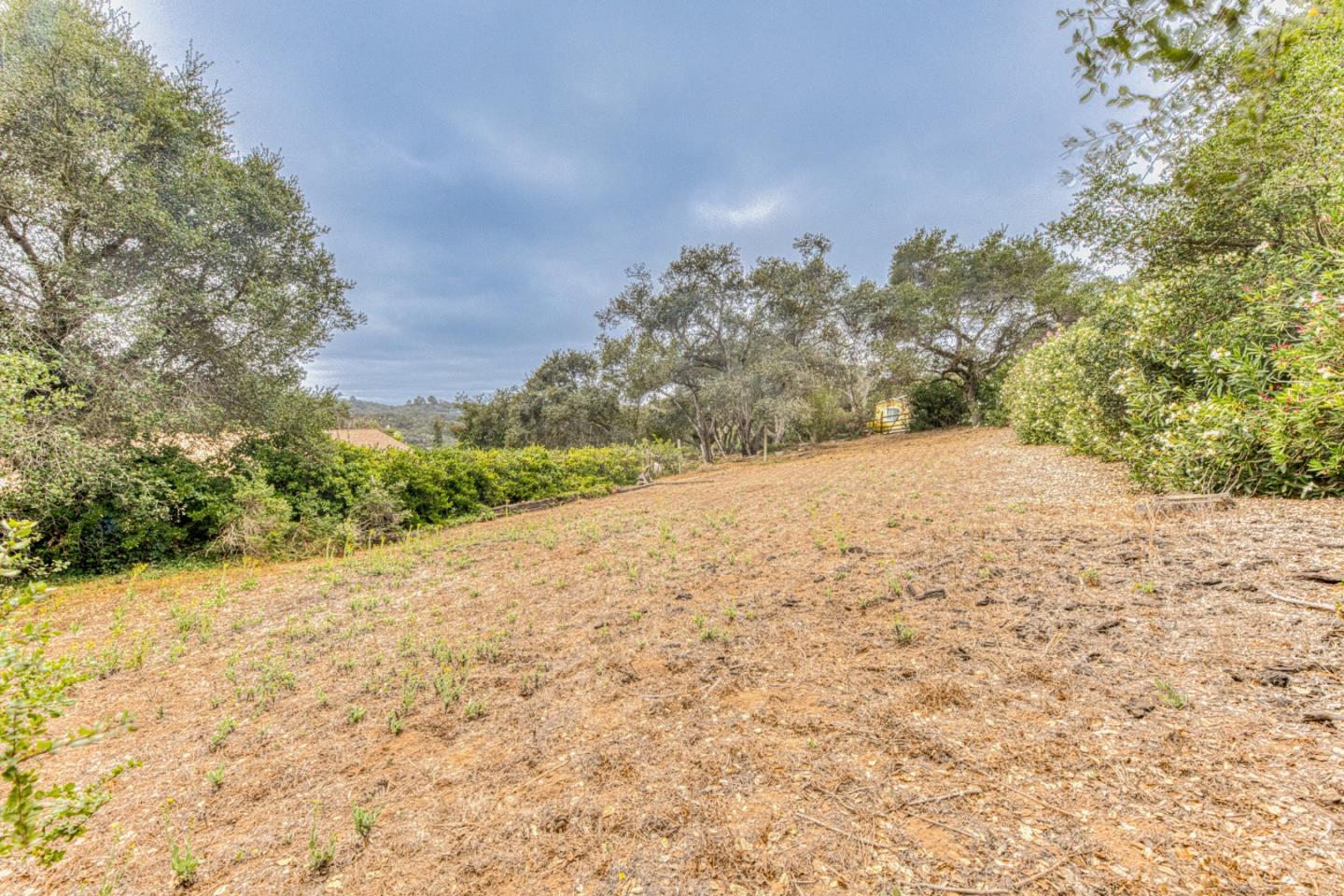 Property photo 49