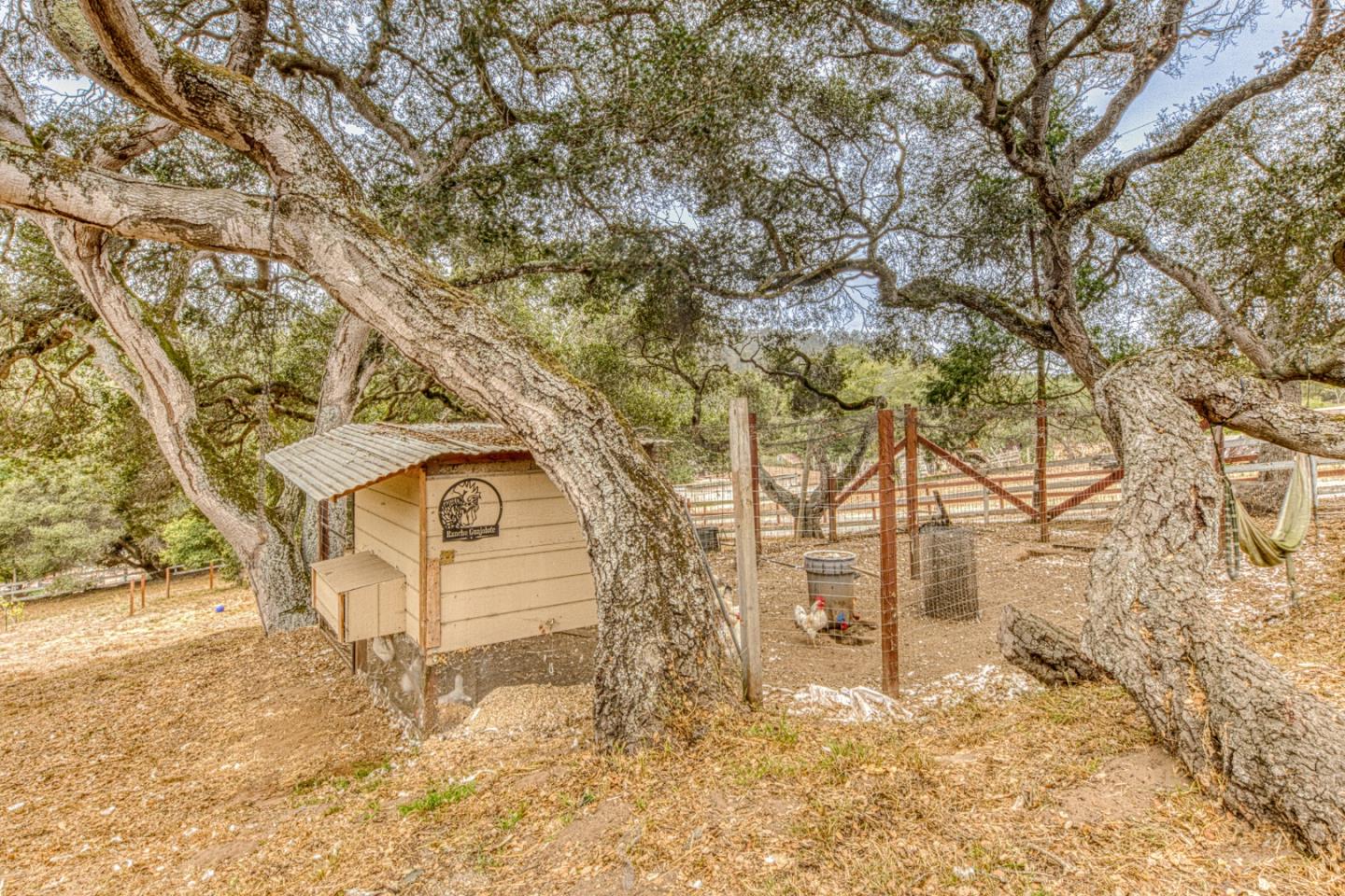 Property photo 38