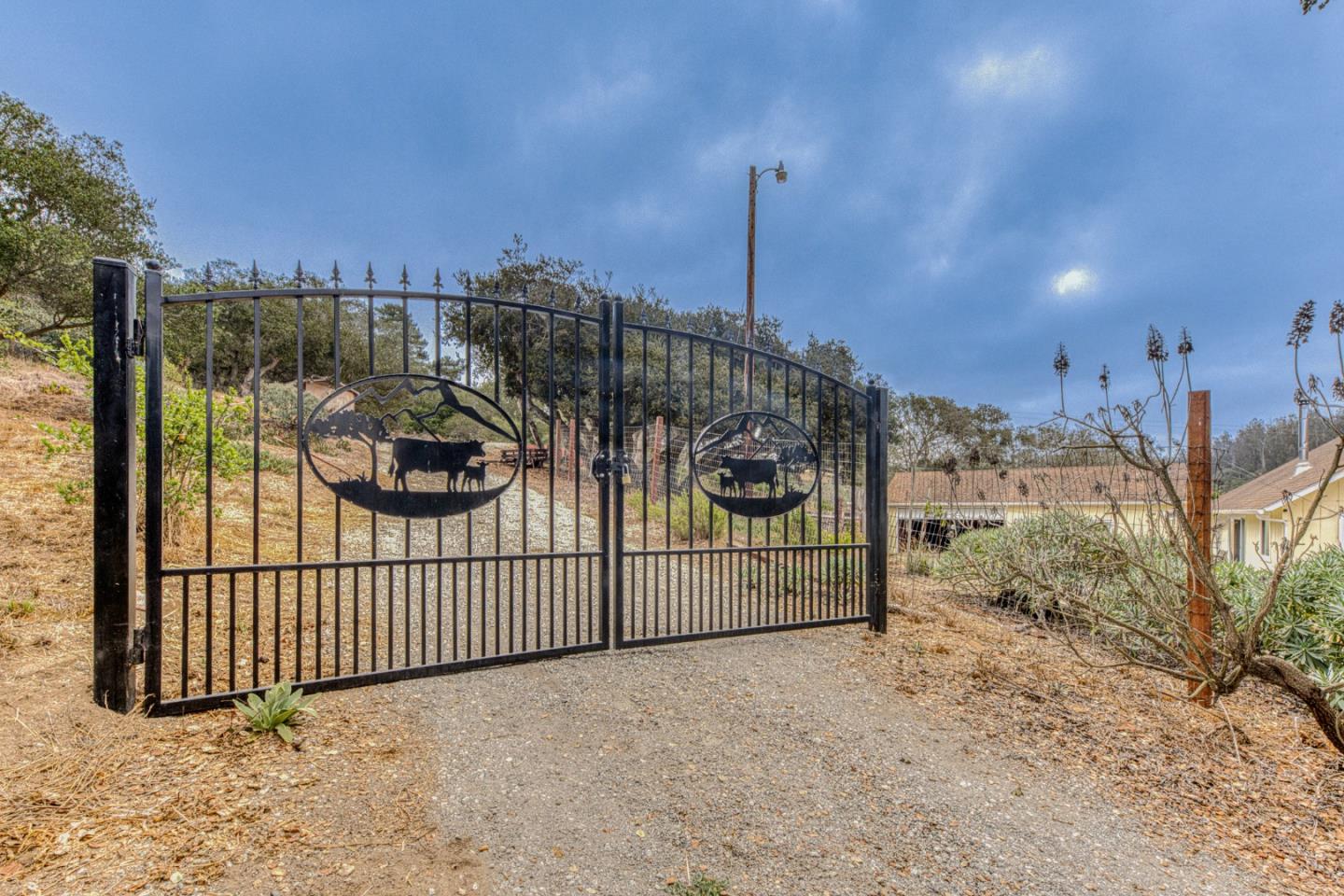 Property photo 44