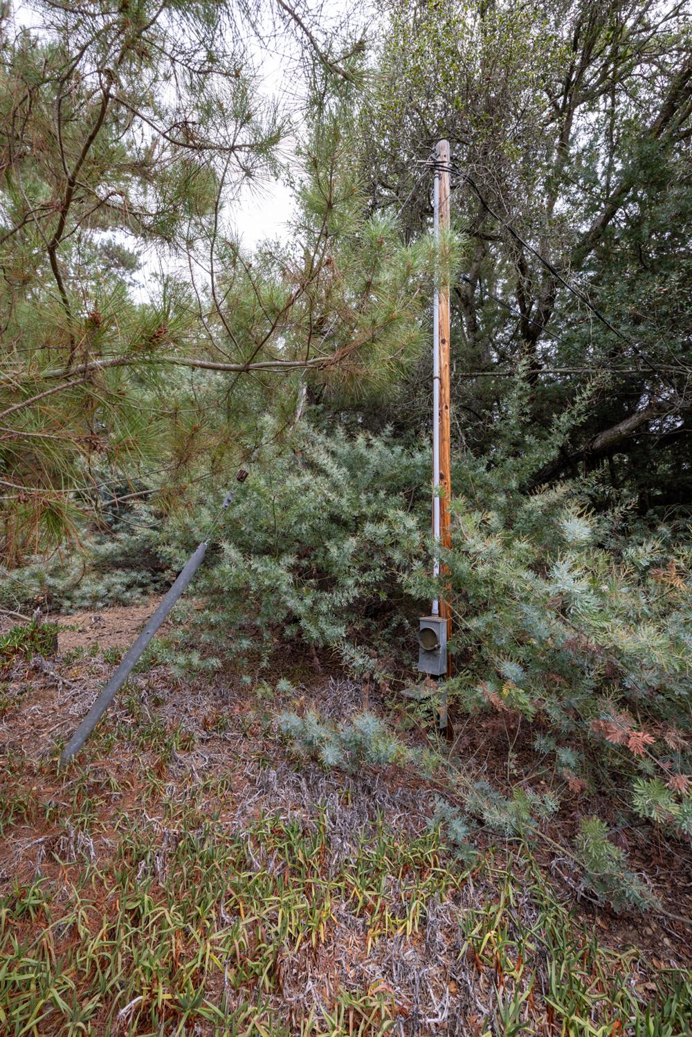 Property photo 18