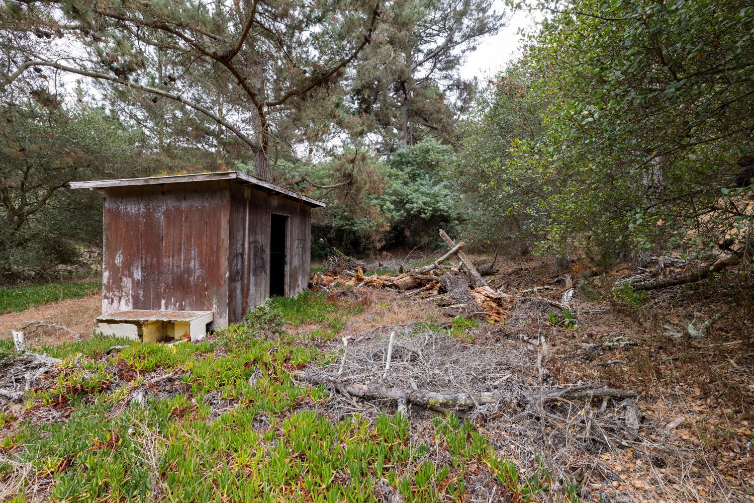 Property photo 20