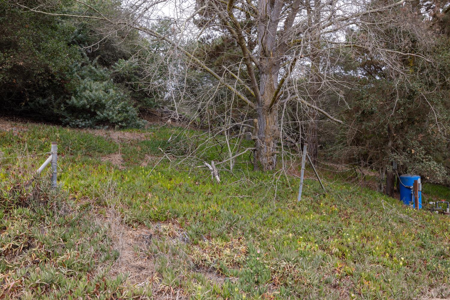 Property photo 25