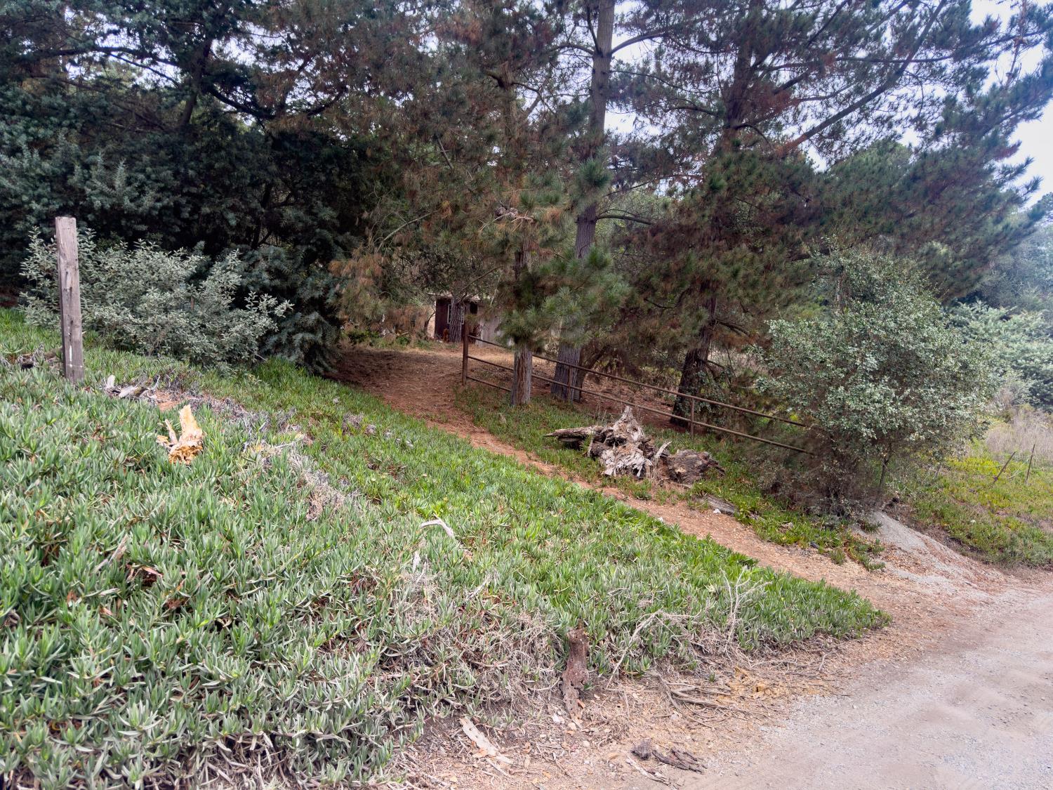 Property photo 27