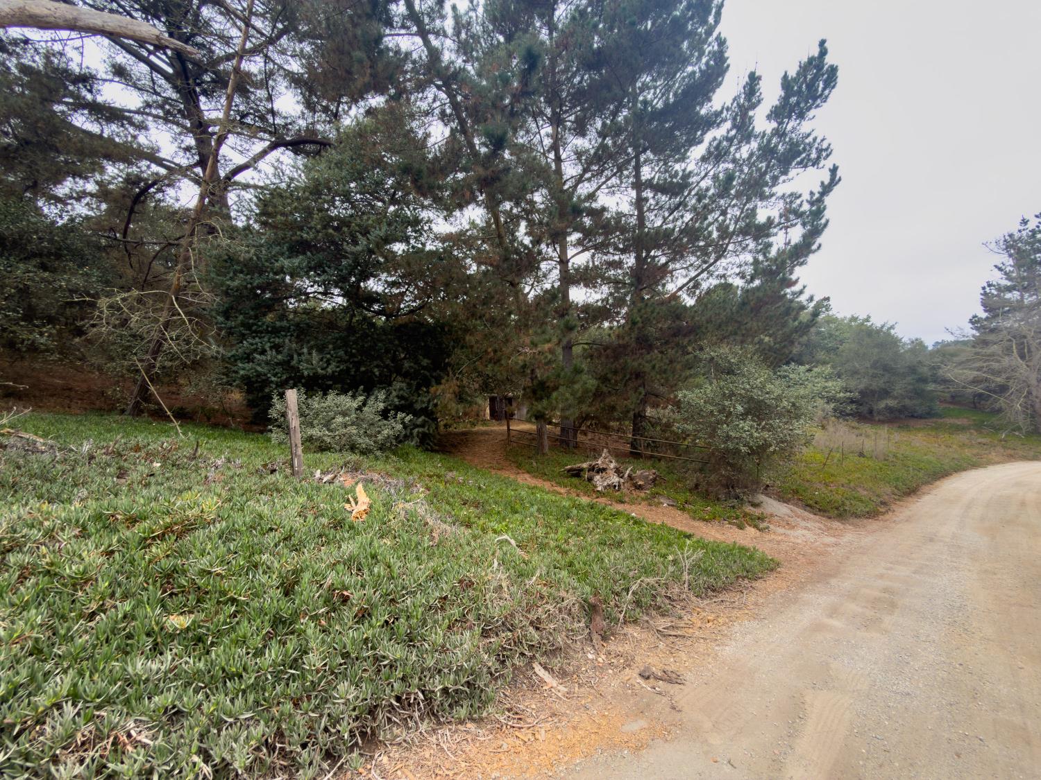 Property photo 28
