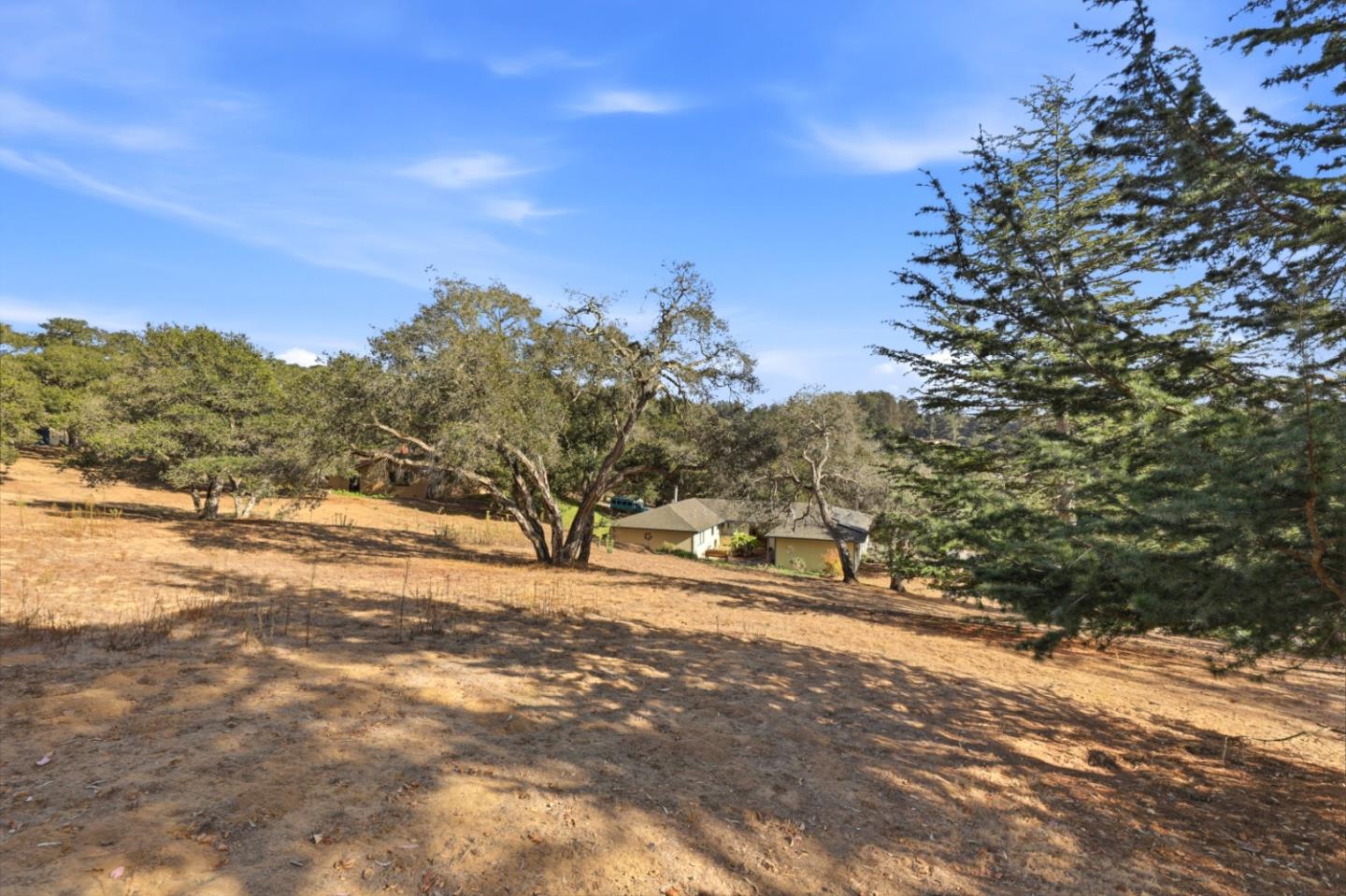 Property photo 48