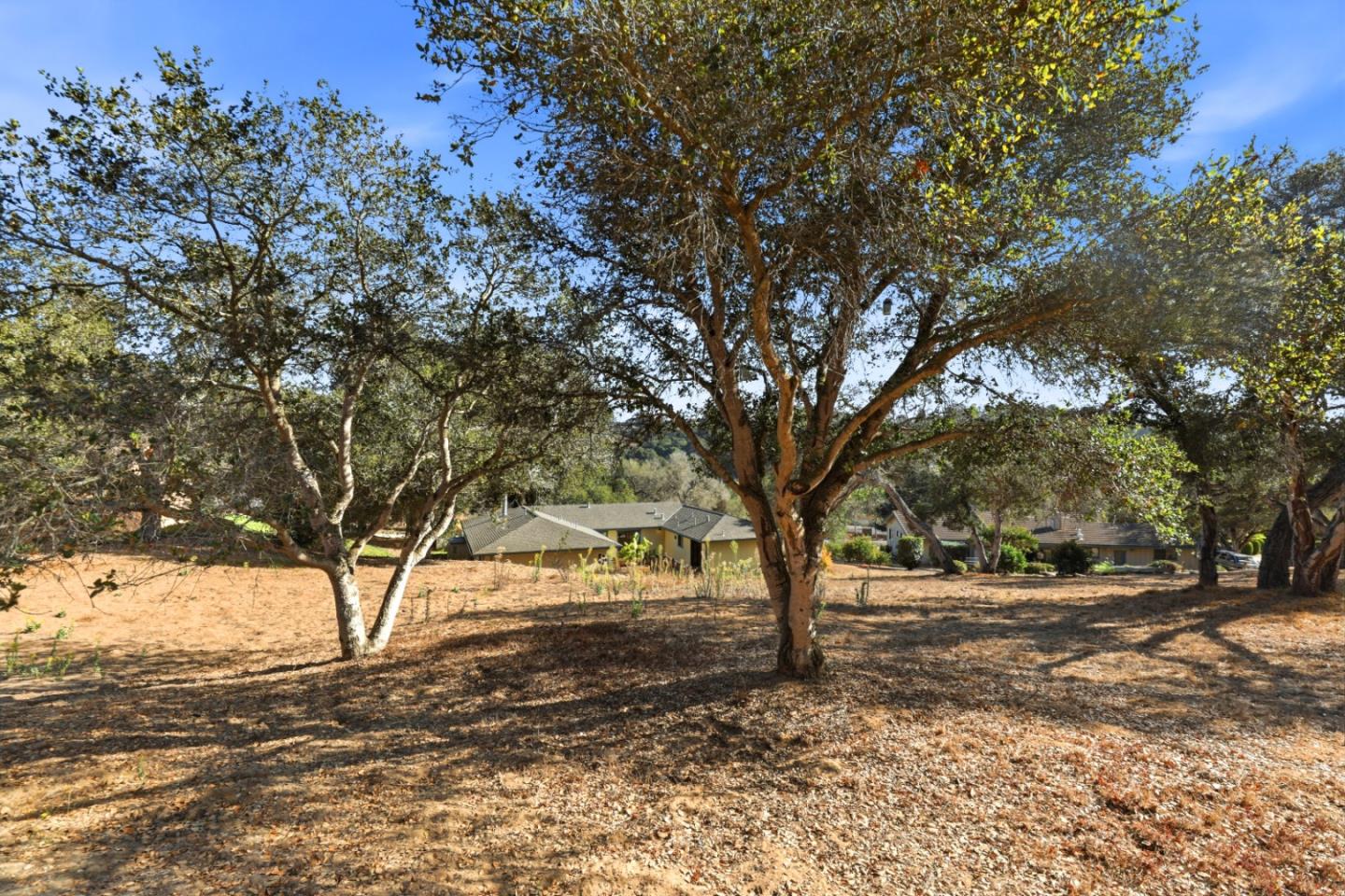 Property photo 49