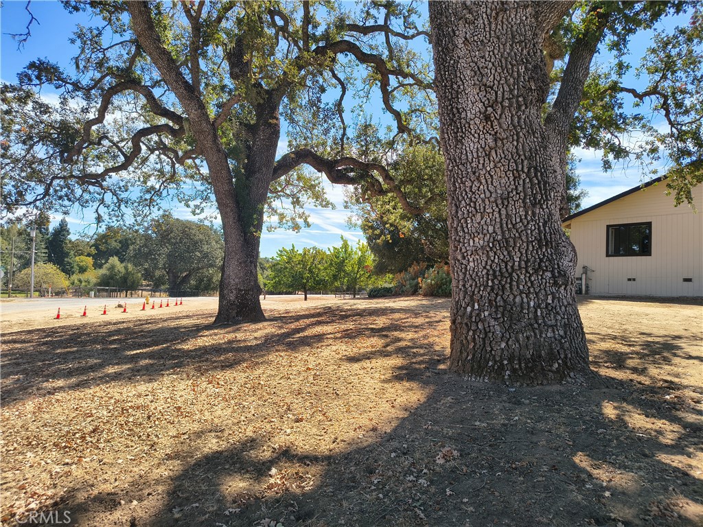 Property photo 19