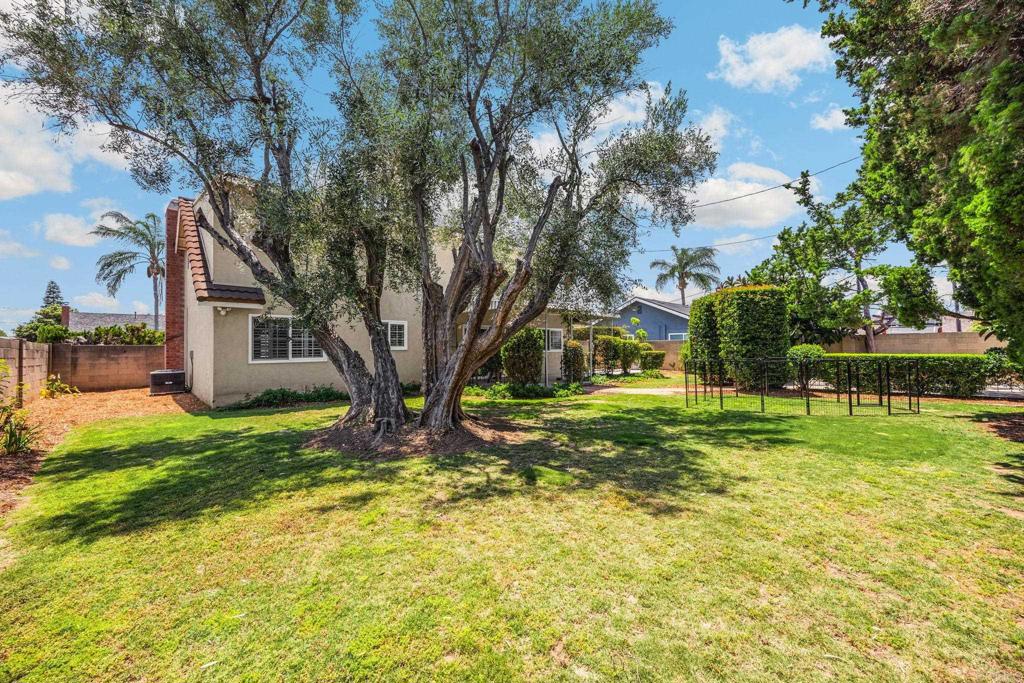 Property photo 41