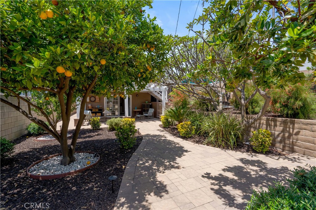 Property photo 49