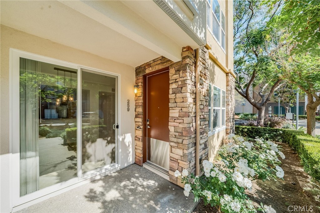 Property photo 43