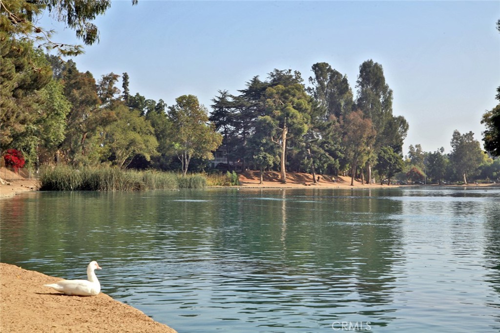 Property photo 47