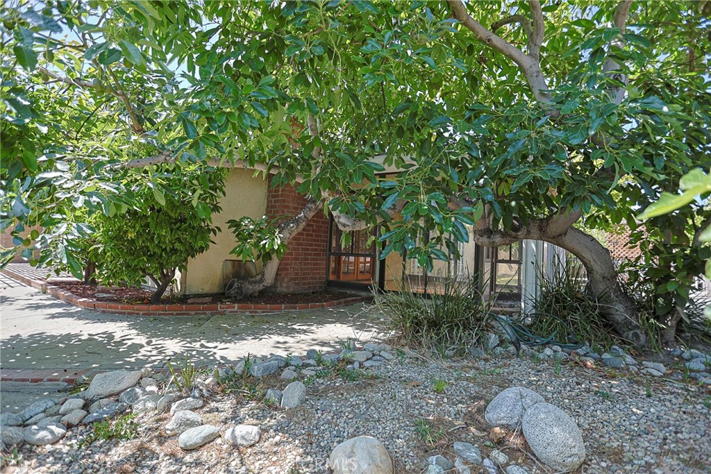 Property photo 41