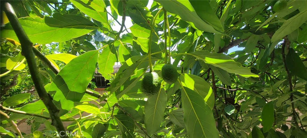 Property photo 42