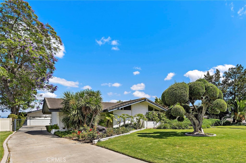 Property photo 49