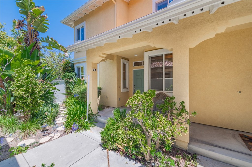 Property photo 46