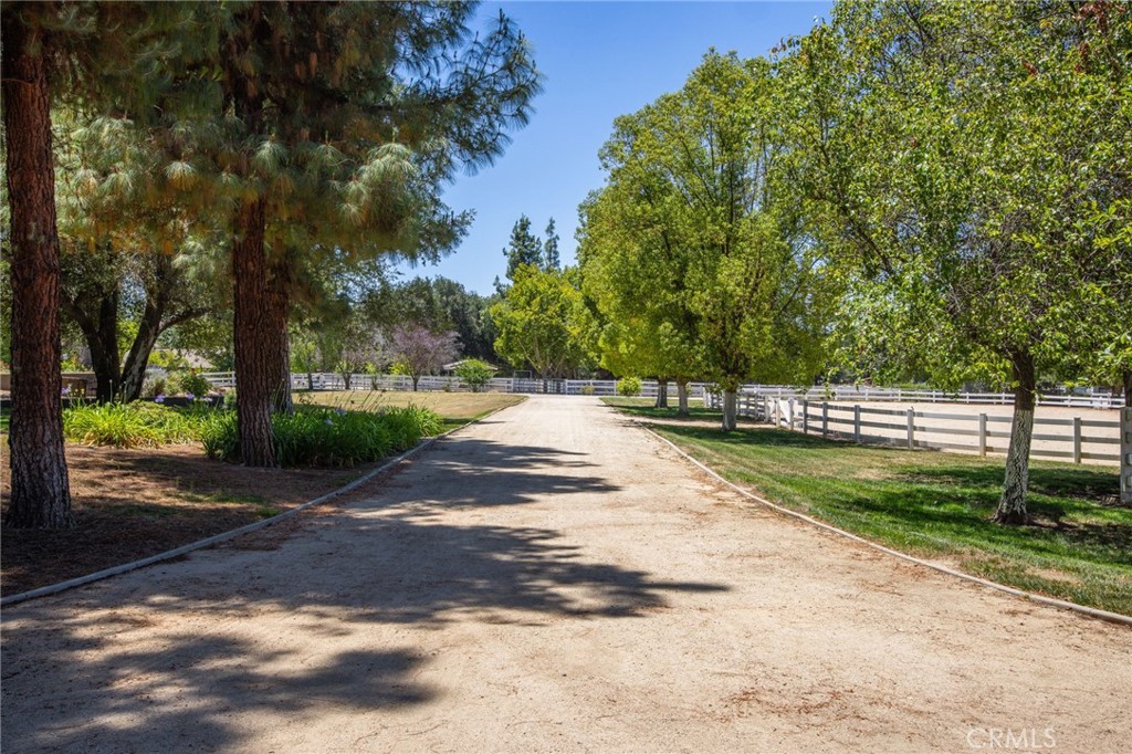 Property photo 45