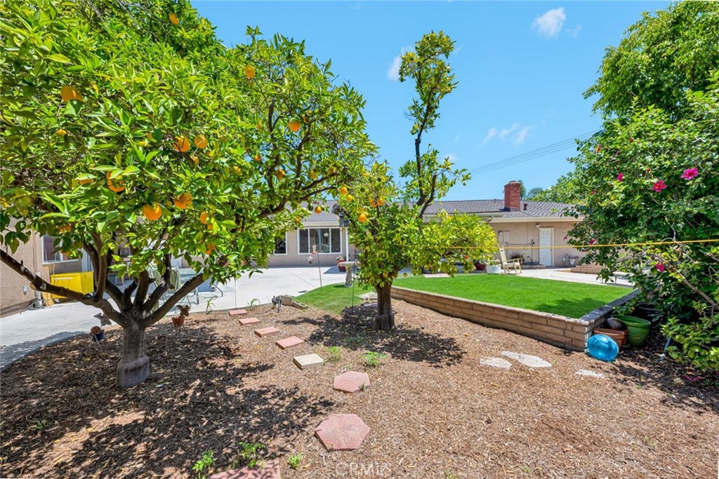 Property photo 47