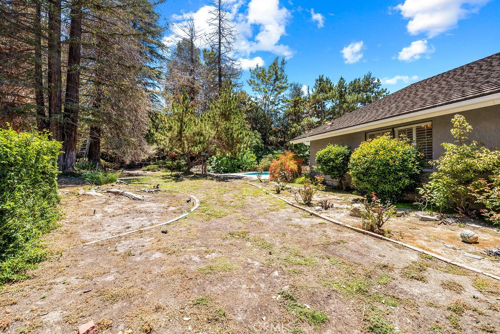 Property photo 39