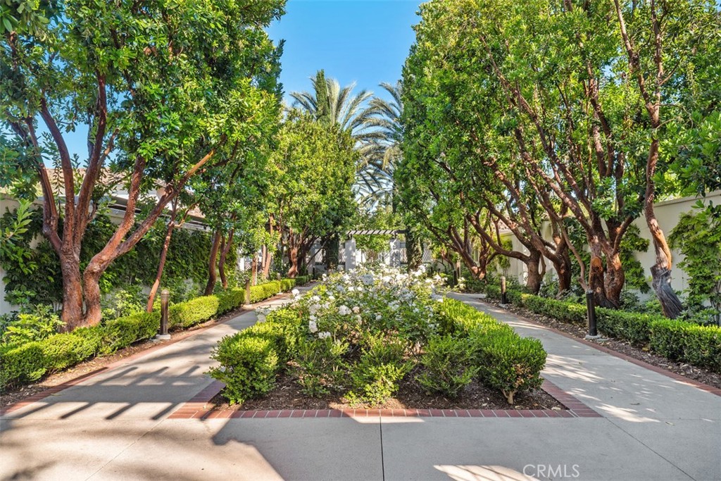 Property photo 49
