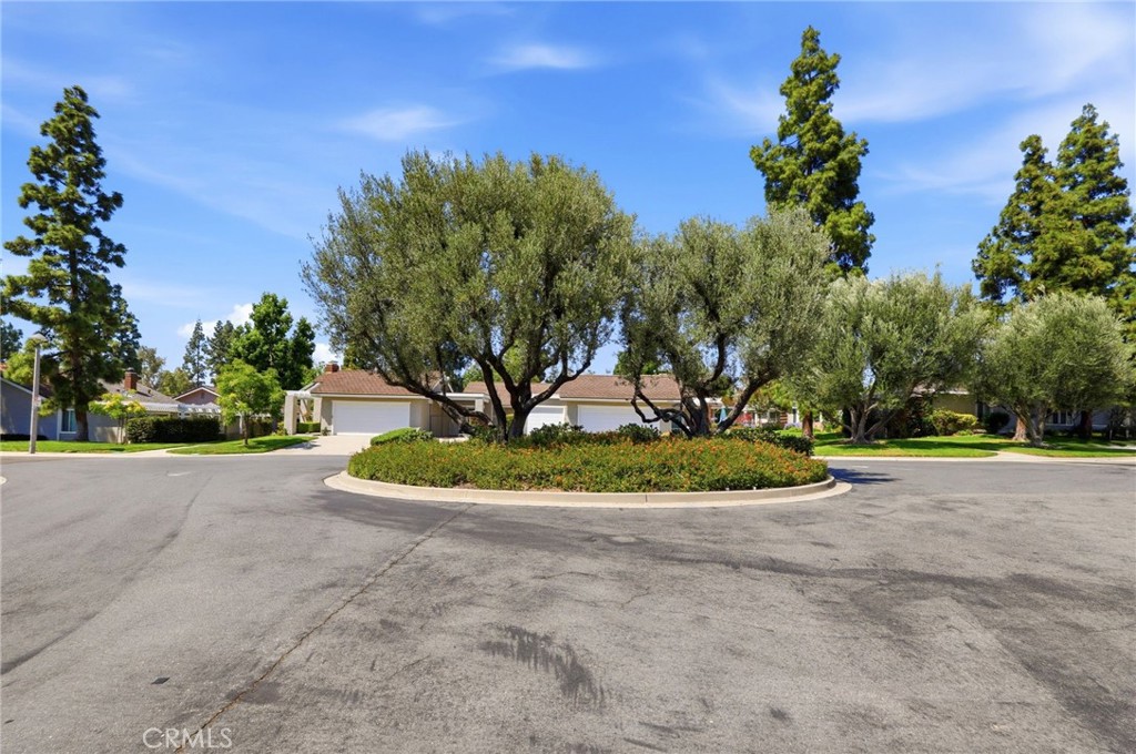 Property photo 48