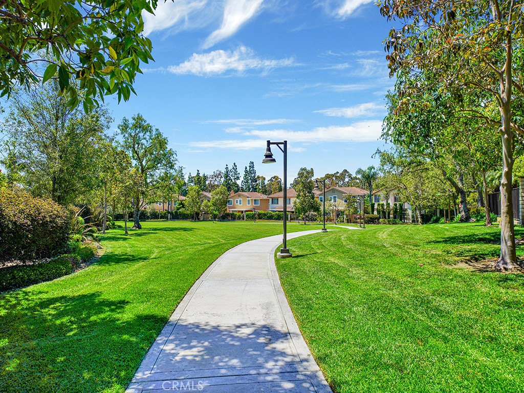 Property photo 49
