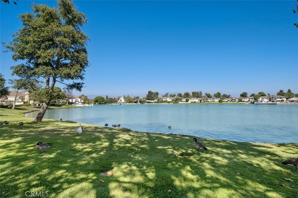 Property photo 48