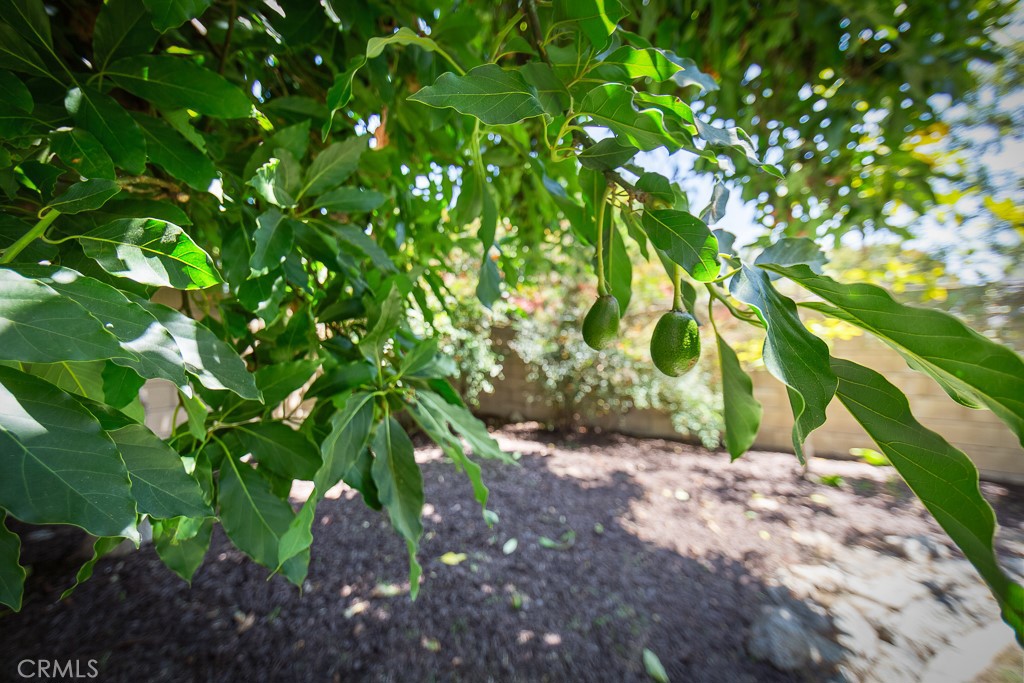 Property photo 51