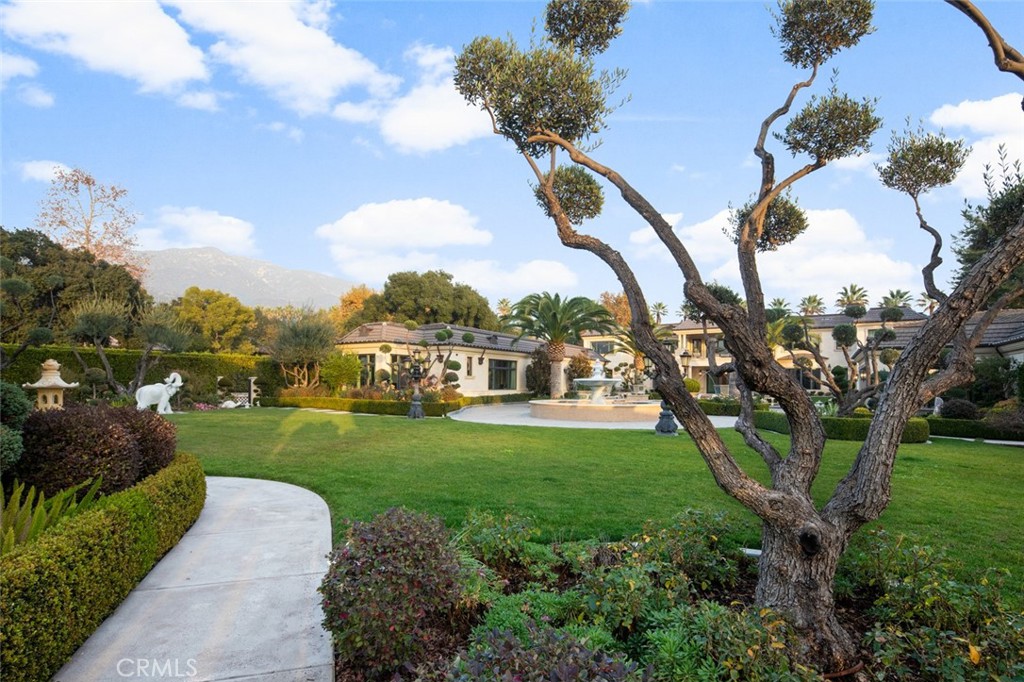 Property photo 44
