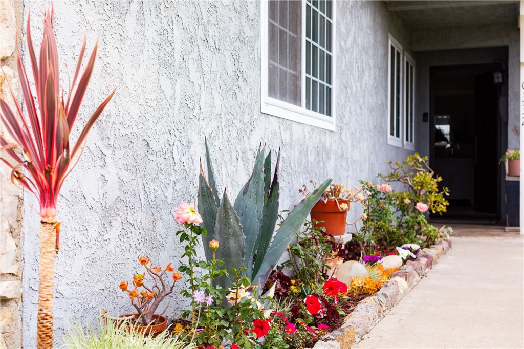 Property photo 51