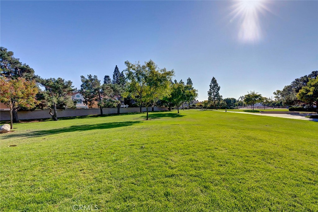 Property photo 49