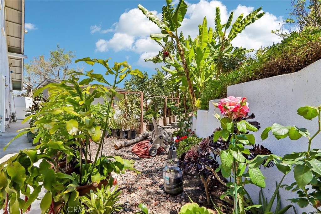 Property photo 44