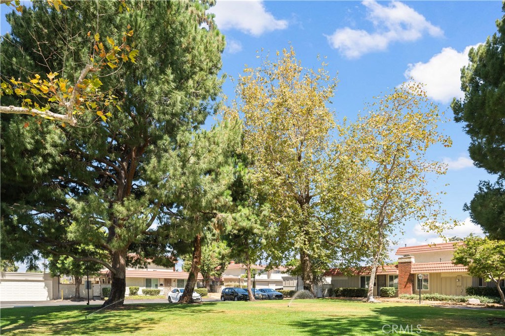 Property photo 48