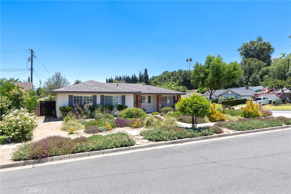 Property photo 46