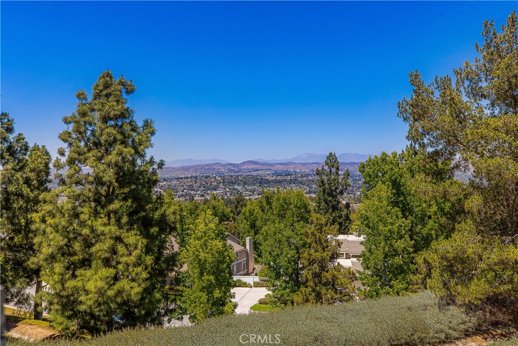 Property photo 51