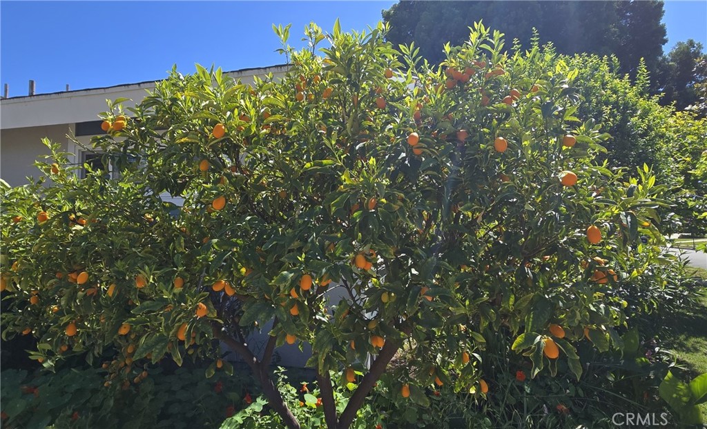 Property photo 51