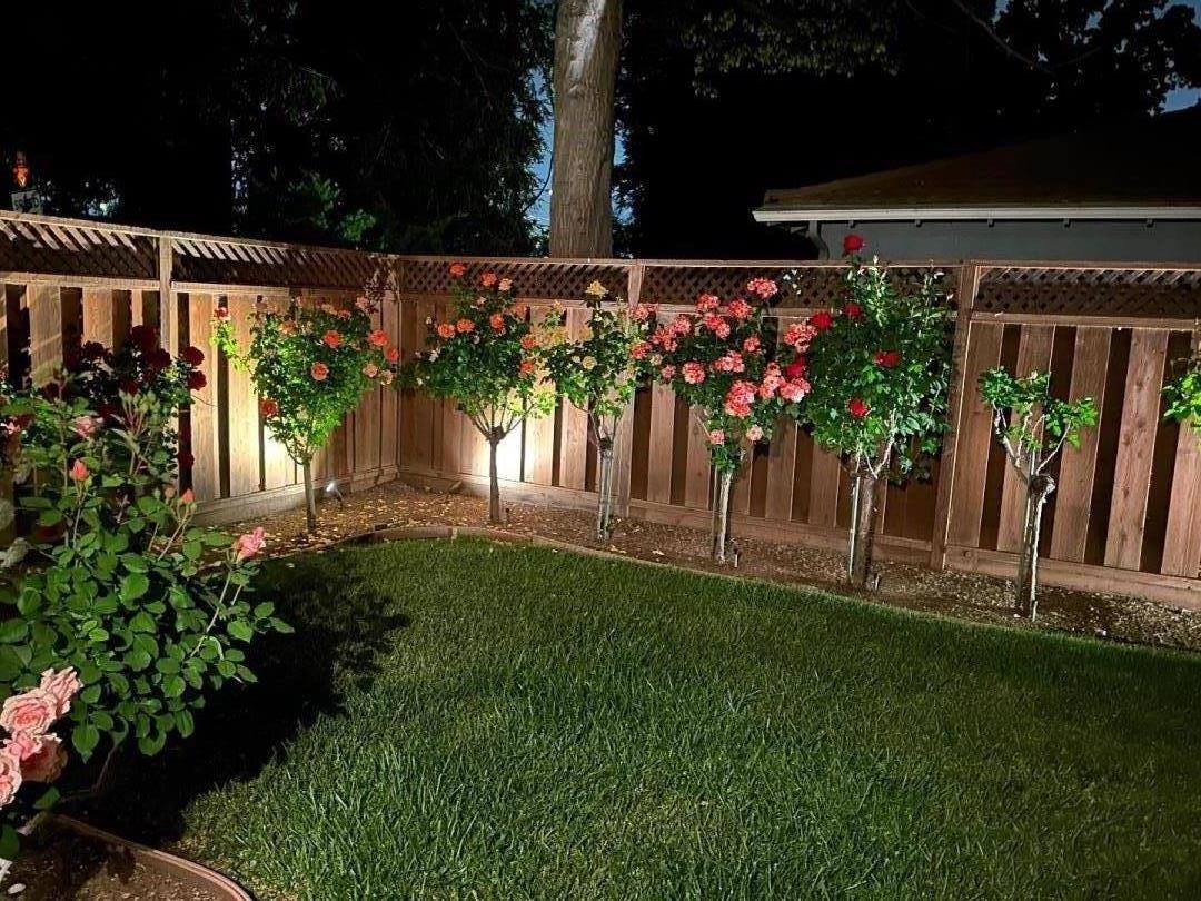 Property photo 44